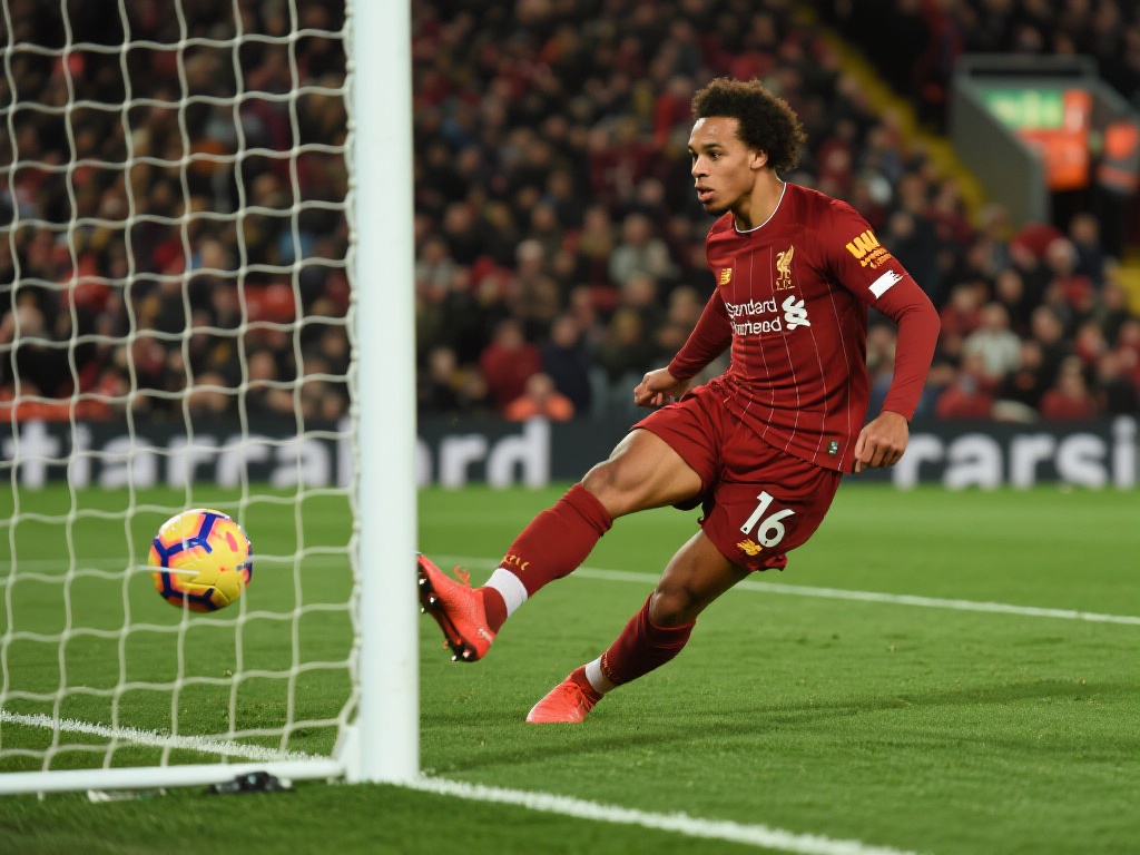 这位老将的 这位老将的